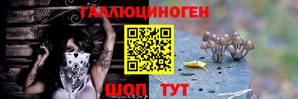 Пыть-Ях  Галлюциногенные грибы MAGIC MUSHROOMS  Вход с VPN 