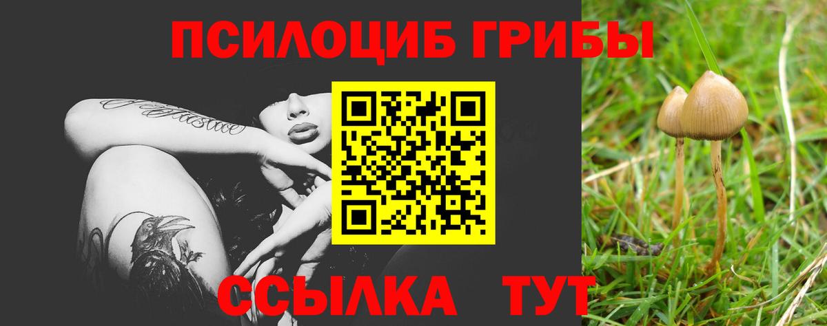 Галлюциногенные грибы Magic Shrooms Пыть-Ях